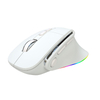 2,4 g kabellose Maus mit Dual-Modus, kabelgebunden, kabellose Pferdelicht-Lade-Gaming-Maus